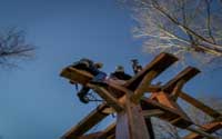 timber engineering