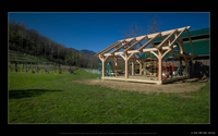 timber engineering