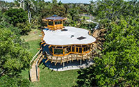timber engineering